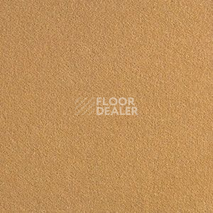 Ковролин Brintons Finepoint Spencer-Harvest f 46 фото 1 | FLOORDEALER